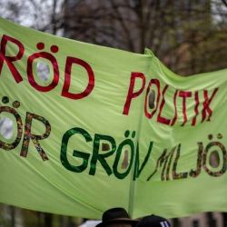 Håkan Berg, socialistiska gruppen